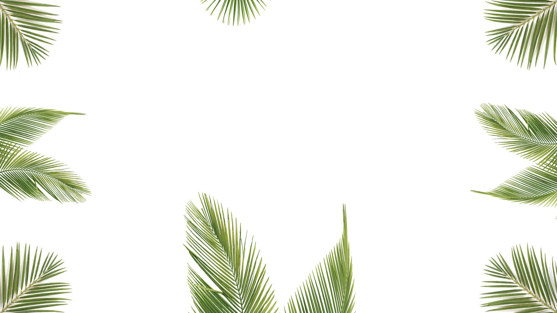 Hand-drawn ink illustration of broad palm leaves sketched along the edges of a warm off-white background, soft tropical greens and sepia line work, calm and editorial mood